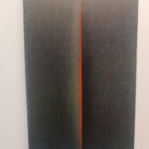 1741080762518.jpg