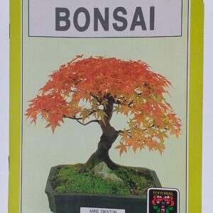 Bonsai 1.jpg