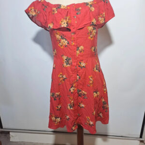 Vestido Zara