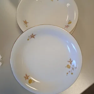 Platos de la Cartuja